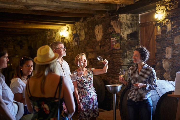 Visite dégustation et Buffet champêtre au Château du Coing de Saint-Fiacre