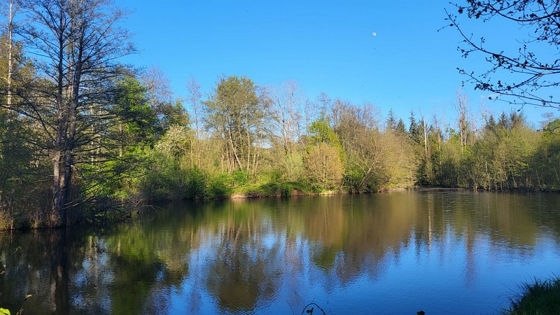 Le Moulin de Chassy - 20230502_192635