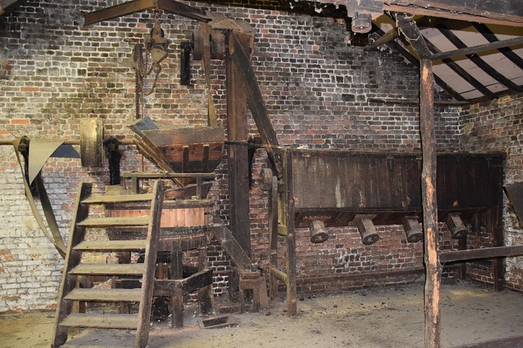 La Chicorée Marin–Maquestiau