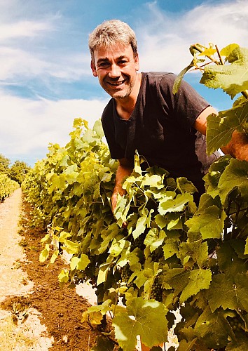 Domaine Bruno Cormerais