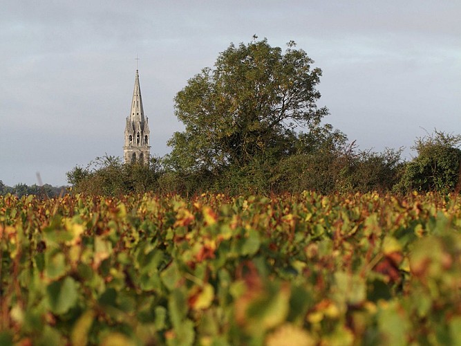 DOMAINE LES HAUTES NOËLLES