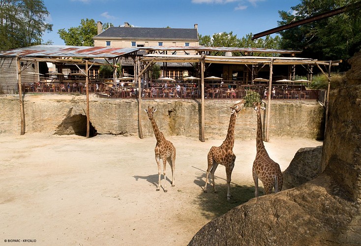 Restaurant Le Camp des Girafes