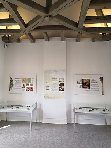 Museum des Schloss Rohan