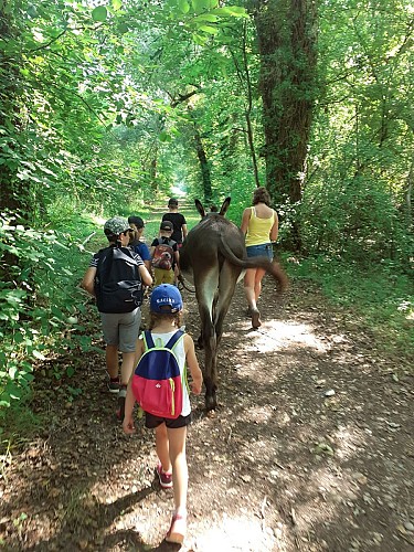 Educational farm - AGF - CINAE