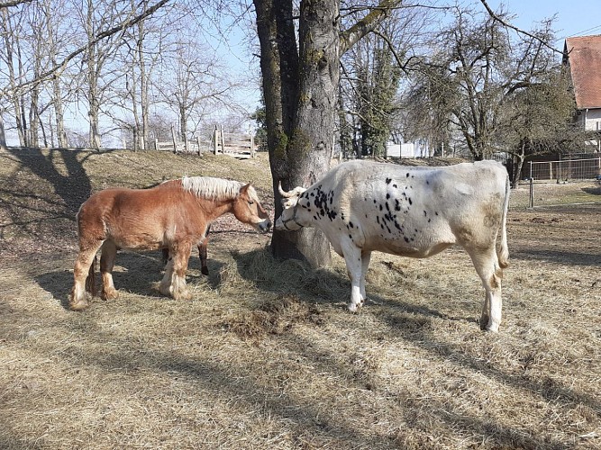La ferme éducative  AGF