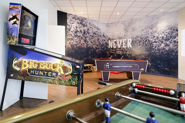 Ibis Styles Domaine de Marlioz