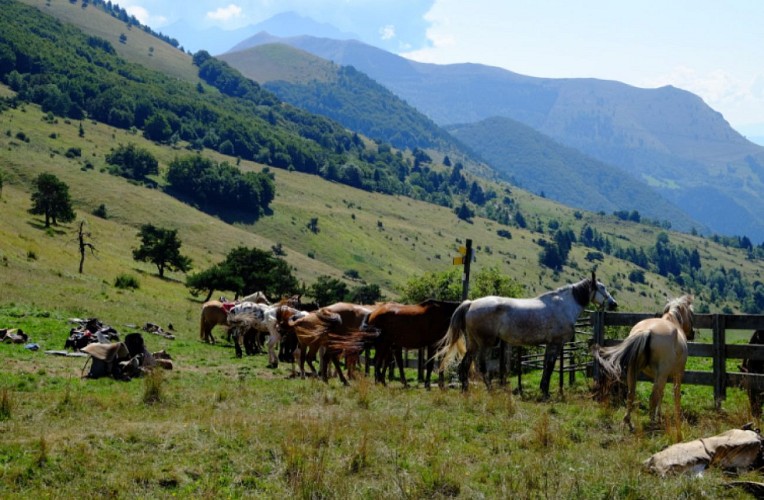 Ferme Equestre des 4 chemins