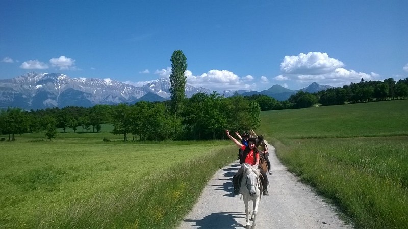 Ferme Equestre des 4 chemins