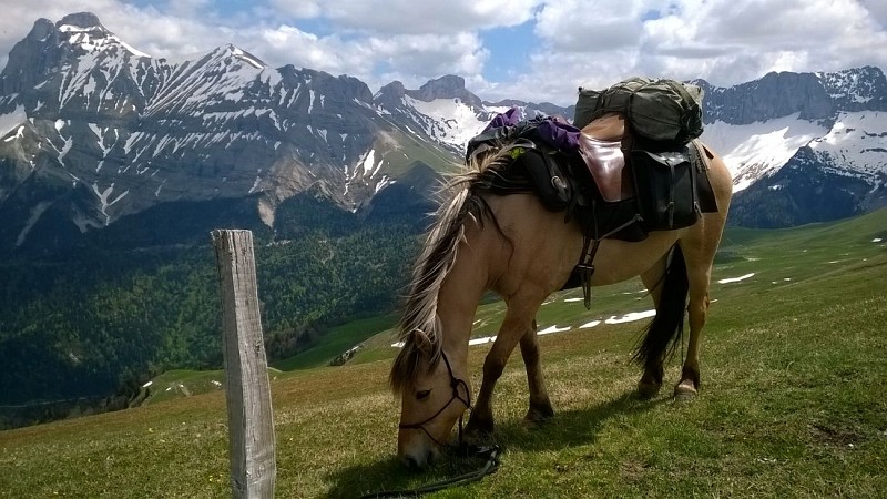 La ferme équestre des 4 chemins