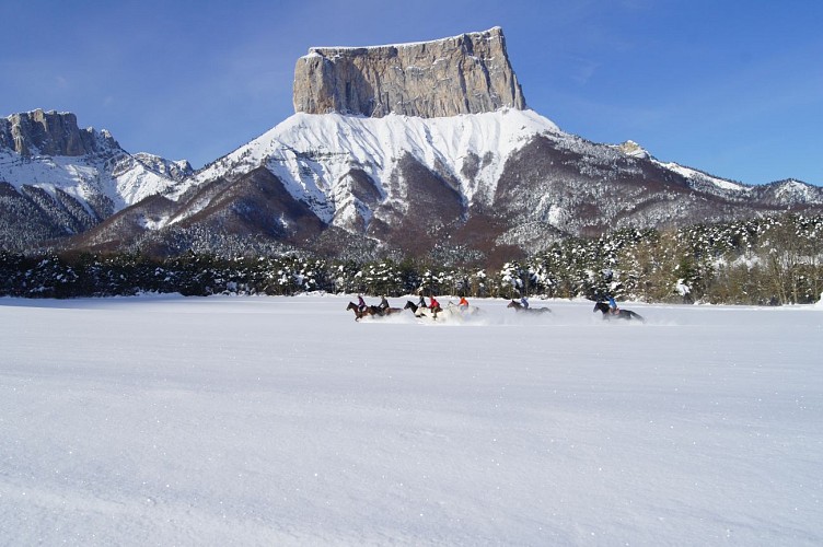 Ferme Equestre des 4 chemins