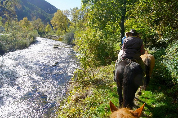 Ferme Equestre des 4 chemins