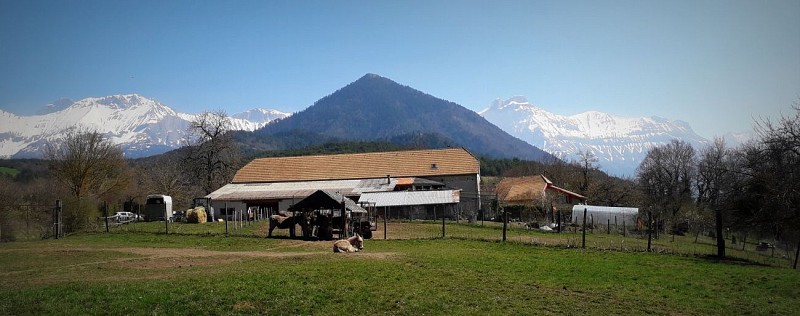 La Poulânerie - Gîte paysan meublé
