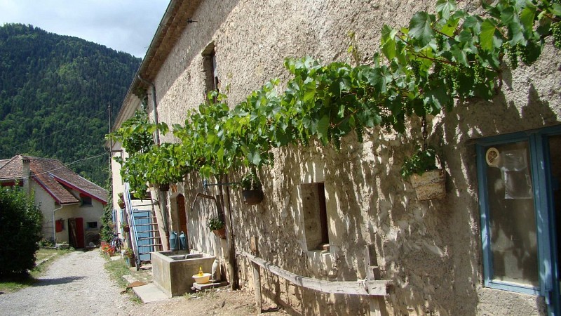 La Poulânerie - Gîte paysan meublé