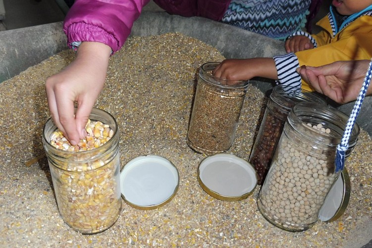 FERME AUBERGE - LA TOUCHE