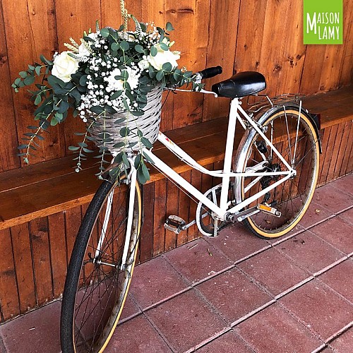 PATRICK LAMY - SA LAMY