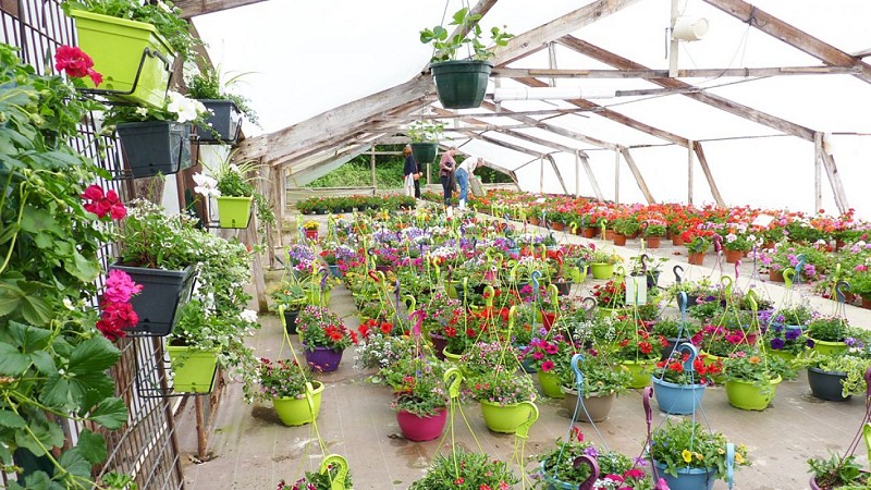 PATRICK LAMY - SA LAMY