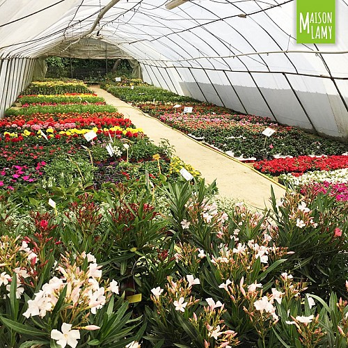 PATRICK LAMY - SA LAMY