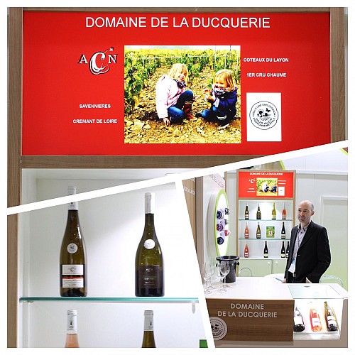 DOMAINE DE LA DUCQUERIE