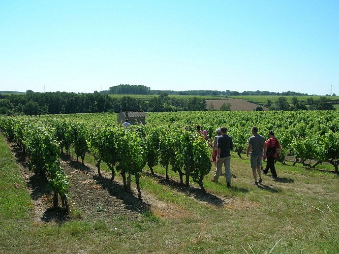 Domaine de la Petite Ville