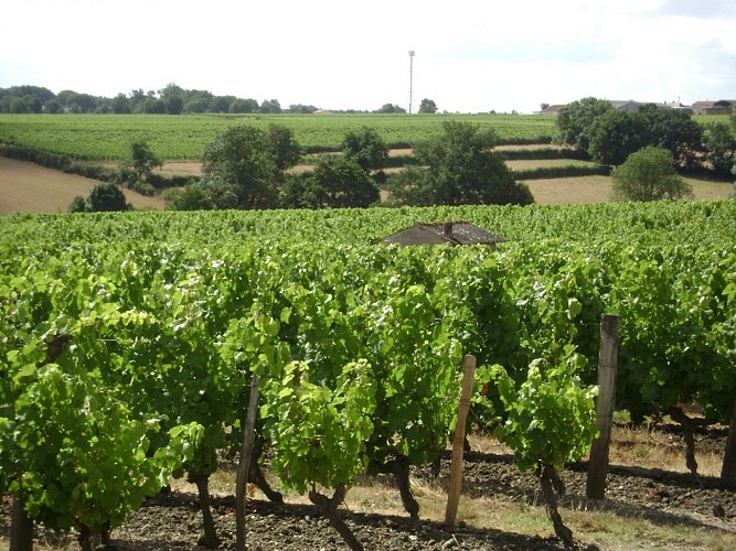 Domaine de la Petite Ville