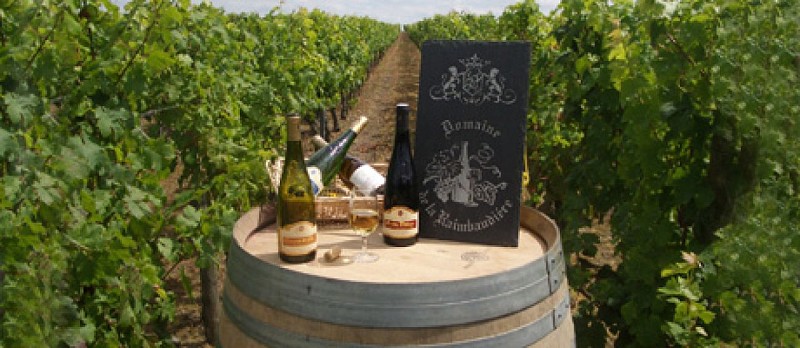 DOMAINE DE LA RAIMBAUDIÈRE
