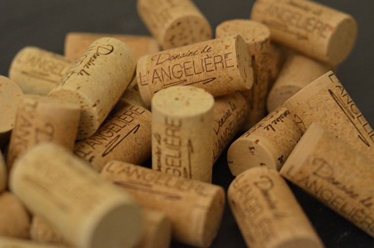 DOMAINE DE L'ANGELIÈRE