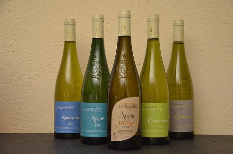 DOMAINE DE L'ANGELIÈRE