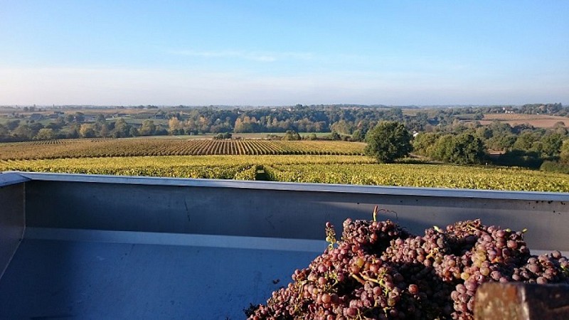 DOMAINE DE L'ANGELIÈRE