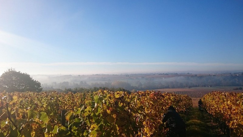 DOMAINE DE L'ANGELIÈRE