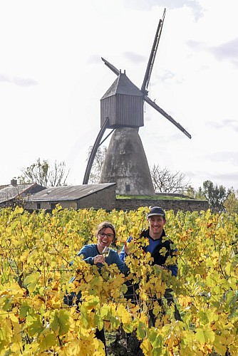DOMAINE DU VERGER