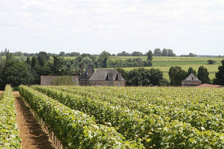 CHÂTEAU DE LA CALONNIÈRE