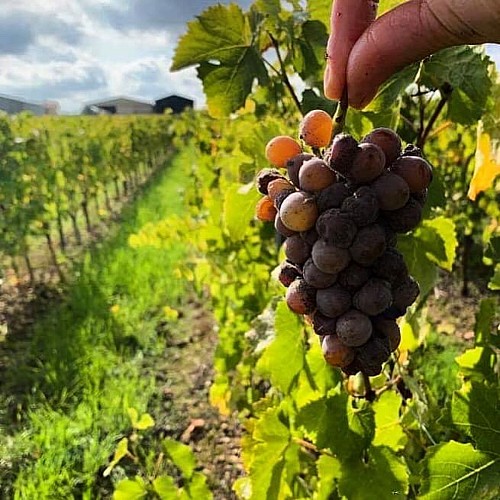 Domaine de Villeneuve