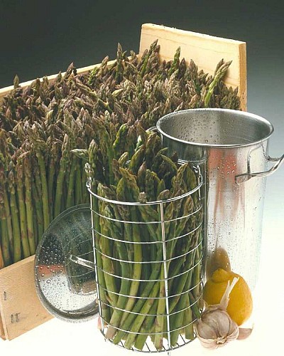 Donovan Roland (anciennement Gallier)