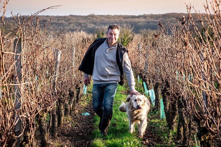 Domaine des Champs Fleuris