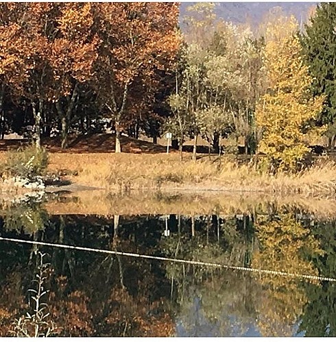 Camping du Lac de la Terrasse