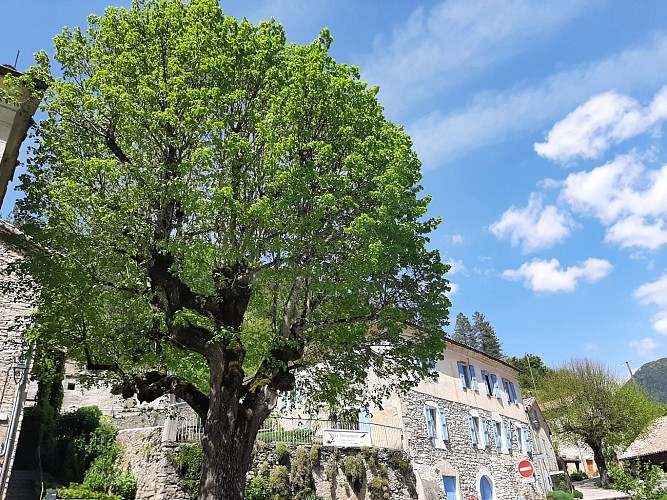 Chambres d'hôtes Le Sareymond
