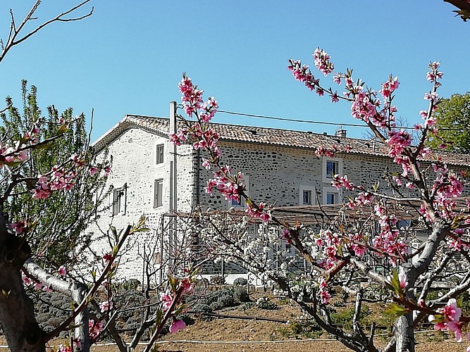 Alice's bed & breakfast in sweet Ardèche
