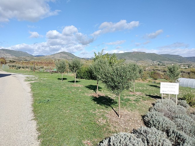 Alice's bed & breakfast in sweet Ardèche