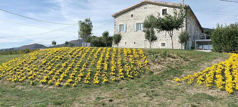 Les chambres d'hôtes d'Alice en douce Ardèche