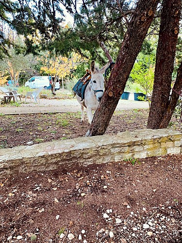 Gîte d’étape Les Hauts de Rémourase