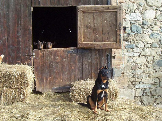 Chambre d'hôtes La Ferme de Loutas