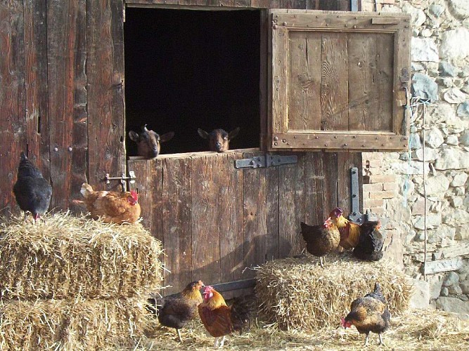 Chambre d'hôtes La Ferme de Loutas