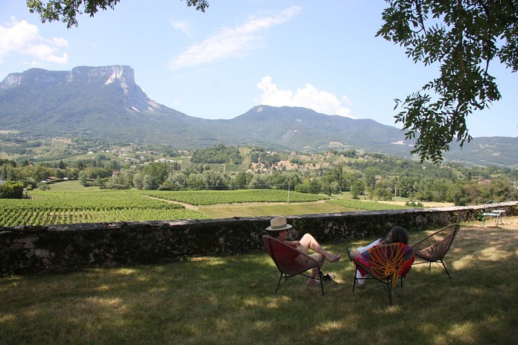 Château La Violette