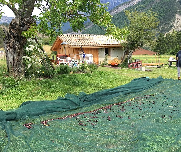 Camping à la Ferme de l'OaDie