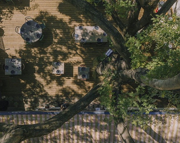 Galerie des Cévennes