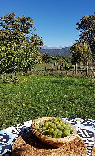 Petite maison dans la prairie