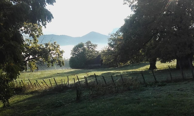 Petite maison dans la prairie