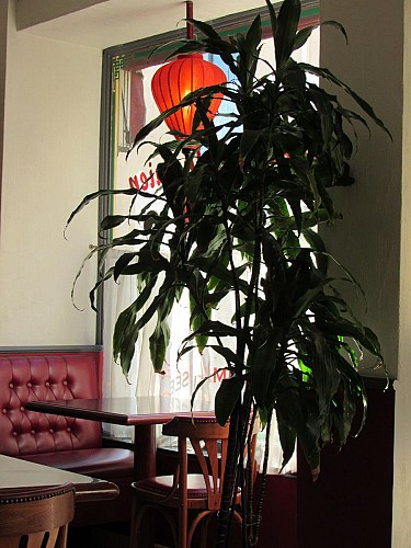 Restaurant Indochine