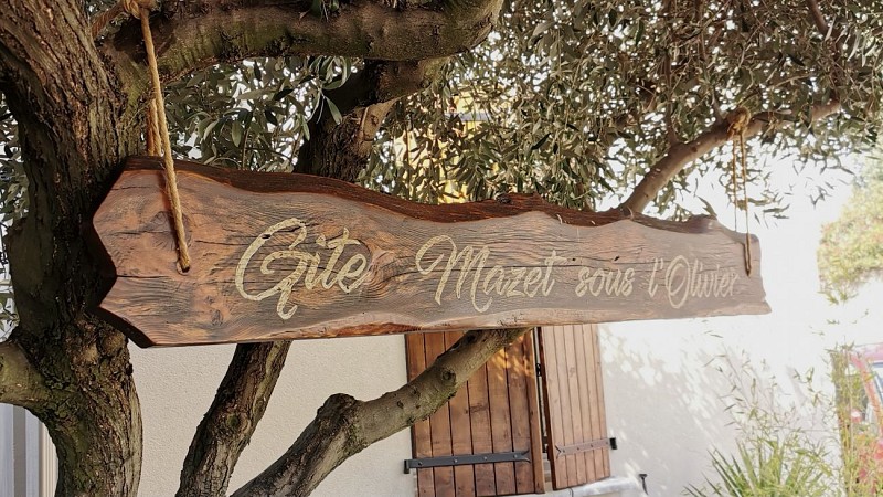 Les Gîtes sous L' Olivier en Petit Camargue