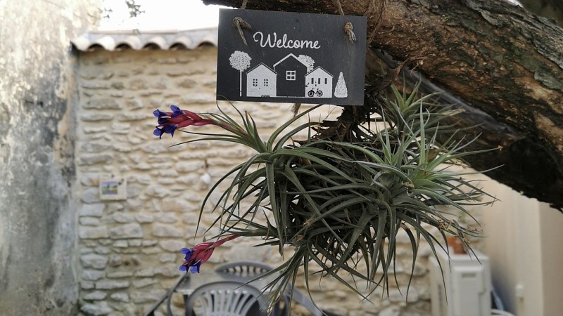 Les Gîtes sous L' Olivier en Petit Camargue